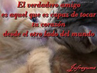 /album/fotogaleria/el-verdadero-amigo-jpg/